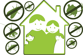 Pruzanje usluga iz oblasti ekoloskog ciscenja i odrzavanja objekata uz zastitu zivotne sredine i okolnog prostora kroz DDD(dezinfekcija,dezinsekcija i deratizacija) ekoloske usluge-Centar„Novi Svet„